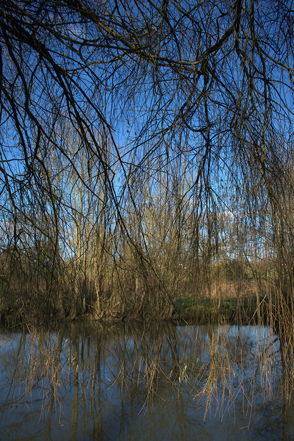 Clouere web