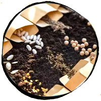 Balade culturelle – N° 151