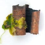 Ecorce1web
