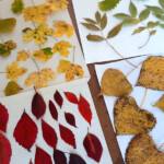 Photo 2025 10 01 16 44 35