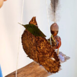 Photo 2025 10 15 17 23 49