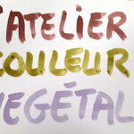 Photo 2025 11 19 16 46