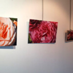 Photo 2025 11 26 16 35