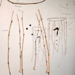 Photo 2026 02 18 16 33