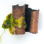Ecorce1web