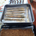Photo 2026 08 14 12 29