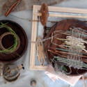 Photo 2026 08 14 12 29