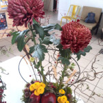 Photo 3 2026 10 15 10 06