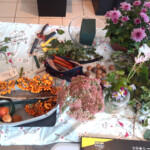 Photo 6 2026 10 15 10 06